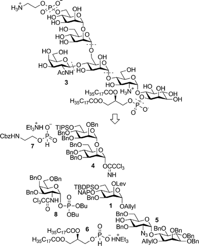 Retrosynthetic analysis of T. gondii GPI anchor 3.