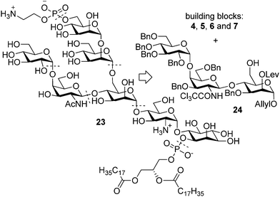 Retrosynthetic analysis of T. gondii low molecular weight antigen.