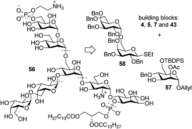 Retrosynthetic analysis of the T. brucei VSG 117 GPI anchor.