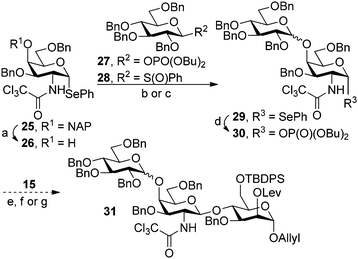 Synthesis of the trisaccharide 31 starting from the non-reducing end. Reagents and conditions: (a) DDQ, H2O, CH2Cl2, 87%; (b) 27, TMSOTf, PhMe, −40 °C, 79% (α : β = 3 : 1); (c) 28, Tf2O, DTMP, PhMe, −78 °C, no reaction; (d) dibutyl phosphate, NIS, CH2Cl2, 43%; (e) 29, MeOTf, CH2Cl2, no reaction; (f) 29, N-(phenylthio)-ε-caprolactam, Tf2O, TTBP, CH2Cl2, 0%; (g) 30, TMSOTf, CH2Cl2, −40 °C, up to 10%.