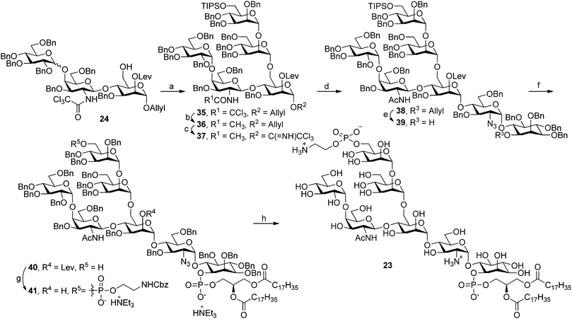 Synthesis of the low molecular weight antigen of T. gondii. Reagents and conditions: (a) 4, TBSOTf, 4 Å MS, thiophene–PhMe (2 : 1), 85%; (b) Zn, AcOH, 55 °C, 94%; (c) (i) [Ir(COD)(PPh2Me)2]PF6, H2, THF, (ii) HgCl2, HgO, H2O, acetone; (iii) Cl3CCN, DBU, CH2Cl2, 83% (three steps); (d) 5, TMSOTf, PhMe, −40 °C, 80%; (e) (i) [Ir(COD)(PPh2Me)2]PF6, H2, THF (ii) HgCl2, HgO, H2O, acetone, 95% (two steps); (f) (i) 6, PivCl, pyridine; (ii) I2, H2O; Dowex 50WX8 (Na+), CHCl3, MeOH; (iii) Sc(OTf)3, MeCN, CHCl3, 64% (three steps); (g) (i) 7, PivCl, pyridine; (ii) I2, H2O; (iii) H2NNH2, AcOH, pyridine, CHCl3, 94% (three steps); (h) H2, Pd/C, CHCl3–MeOH–H2O (3 : 3 : 1), 62%.