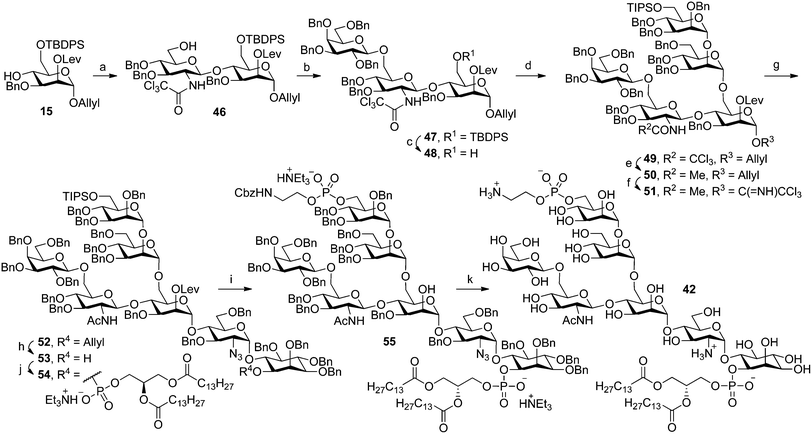 Synthesis of the GPI anchor of T. congolense VSG. Reagents and conditions: (a) (i) 44, NIS, TMSOTf, 4 Å MS, CH2Cl2, −30 °C to 0 °C; (ii) NEt3, 95% (two steps); (b) 45, TMSOTf, EtCN, −78 °C, 81%; (c) HF·pyridine, THF, 89%; (d) 4, TBSOTf, 4 Å MS, thiophene, Et2O, 0 °C, 84%; (e) Zn, AcOH, 55 °C, 87%; (f) (i) [Ir(COD)(PPh2Me)2]PF6, H2, THF; (ii) HgCl2, HgO, H2O, acetone; (iii) Cl3CCN, DBU, CH2Cl2, 56% (three steps); (g) 5, TMSOTf, thiophene, PhMe, −40 °C, 87%; (h) (i) [Ir(COD)(PPh2Me)2]PF6, H2, THF (ii) HgCl2, HgO, H2O, acetone, 79% (two steps); (i) (i) 43, PivCl, pyridine; (ii) I2, H2O; iii. Sc(OTf)3, MeCN, CHCl3, 74% (three steps); (j) (i) 7, PivCl, pyridine; (ii) I2, H2O; (iii) H2NNH2, AcOH, 82% (three steps); (k) H2, Pd/C, CHCl3–MeOH–AcOH–H2O, 85%.