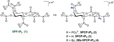 Comparison of the naturally occurring signalling molecule 5PP-IP5 (1) with the analogues described in this study.