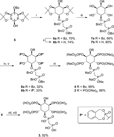 Synthesis of non-hydrolysable PP-IP analogues. Reagents and conditions: (i) Benzyl((bis(benzyloxy)phosphoryl)methyl)phosphonochloridate, KHMDS, THF, −78 °C to rt, overnight; (ii) NaOMe, MeOH, rt, overnight; (iii) H2O, p-TsOH, acetone, overnight; (iv) N,N-diethyl-1,5-dihydro-2,4,3-benzodioxaphosphepin-3-amine, 1H-tetrazole, CH3CN, 0 °C to rt, 36 h; (v) mCPBA, CH3CN, 0 °C to rt, 3 h; (vi) H2, Pd black, NaHCO3, t-BuOH/H2O, rt, overnight; (vii) conc. aq. NH3, rt, 4 days; (viii) Dowex-H+.