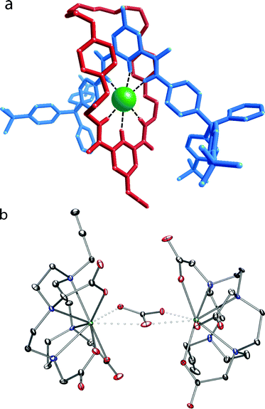 Representation of the solid state structure of (a) 4·Cl (Mercury capped stick depiction showing the components of the rotaxane) and (b) Lu·5 (ORTEP depiction) with thermal ellipsoids of Lu·5 displayed at 30% probability and the water, sodium, and hydrogen atoms omitted for clarity.