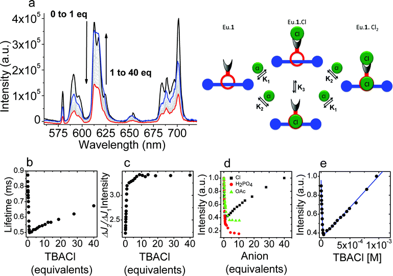 (a) Variation in the luminescence spectrum of Eu·1 upon titration with chloride (λex = 270 nm) in dichloromethane; (b) variation in luminescence lifetime of the europium centered emission arising from 5D0 as the titration progresses; (c) variation in the ratio of the intensities of the 5D0–7F2 and 5D0–7F1 transitions with increasing halide concentration; (d) variation in the luminescence intensity observed upon titration of Eu·1 with TBA·Cl, TBA·H2PO4 and TBA·OAc; (e) fitting the observed changes in luminescence intensity upon titration of Eu·1 with chloride in dichloromethane using an independent binding sites model as shown in the picture above.