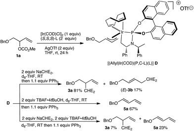 Synthesis and reactivity of [Ir(COD)(P,C-L)(L)] D.