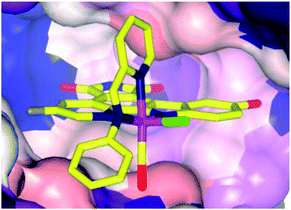 Co-crystal structure of 16a (Λ-FL172, PDB 3FXZ) and protein kinase PAK-1 with 16a bound at the ATP-binding site of the enzyme (C-terminal domain), showing the tight fit of 16a with the hinge region of the enzyme.44