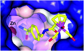 Binding of 11a to hCA II determined by X-ray crystallography (PDB 3RJ7), showing an intact Re coordination sphere and chelation of the active site zinc by the sulfonamide group.37