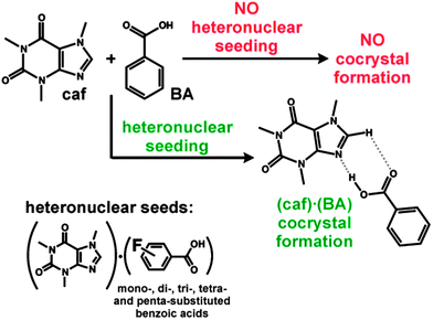 While cocrystallization attempts of caf and BA regularly fail, cocrystal 1 is readily accessible when (caf)·(FBA) cocrystals are used as heteronuclear seeds.