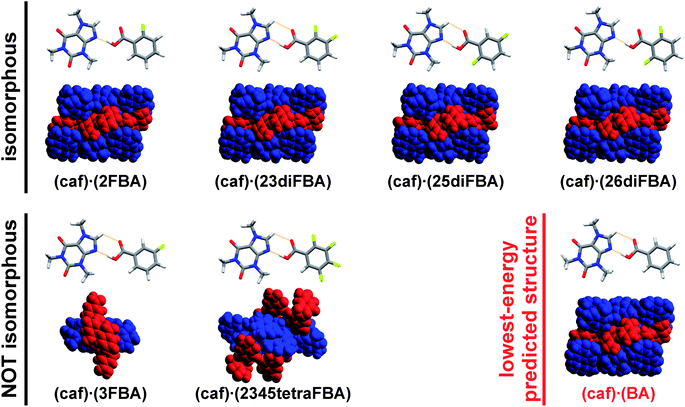 X-ray crystal structures of (caf)·(FBA) cocrystals used as heteronuclear seeds for the crystallization of 1 (black labels). Structures shown in the first row are isomorphous with the lowest-energy predicted crystal structure of 1 (red label), unlike the structures shown in the second row. Each cocrystal system is represented with a depiction of the caf: FBA (or caf : BA) assembly (top) and their crystal packing diagrams (bottom). Colour scheme for the crystal packing diagrams: caf – blue, BA – red.