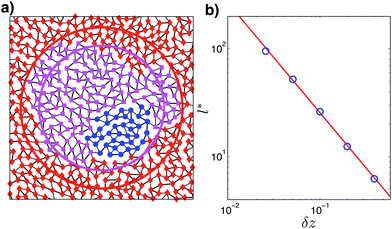 Rigid regions, shown as red diamonds and magenta square, are induced by freezing the nodes outside an external radius (red) and an internal radius (magenta) respectively. Circular nodes (blue) show the minimal floppy region. Freezing any extra particle rigidifies the entire system. (b) l*, as defined in the text, vs. δz. The red line corresponds to l* ∼ 1/δz.