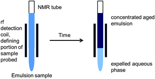 Position of a phase separated emulsion sample with respect to the spectrometer detection coil upon PFG-NMR ageing experiments. Note that depending on the age and the concentration of the emulsion one of the following scenarios was met at any given time: (1) both the upper concentrated emulsion and lower expelled aqueous phase; (2) the upper concentrated emulsion only; or (3) the lower expelled aqueous phase only were housed within the rf detection coil.