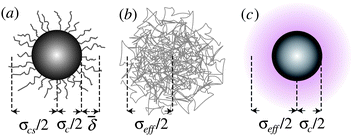 Schematic representation of various models for hard-sphere colloids. (a) Sterically stabilized particle, with surface ‘hairs’ (not to scale), where the average thickness of the stabiliser layer  and the core–shell diameter σcs = σc + 2 are needed for a full characterisation. (b) Microgel particle, which is a heavily cross-linked polymer. (c) Charged colloid, where the electrical double layer (shaded) gives rise to an effective diameter σeff.