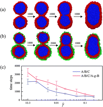 (a) Coalescence of composite droplets of uncompatibilized ternary blends. The approximate evolution time steps are shown between graphics. (b) The same process for compatibilized ternary blends. (c) Coalescence time decrease with increasing shear rate for original and compatibilized systems. The time is defined as the interval from the shell phase touch to the core phase contact.