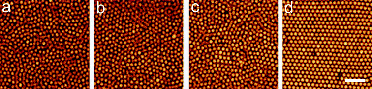 Confocal microscopy images of crystallisation in nearly hard spheres for ϕ = 0.54. (a) 600 s (2.3 τα), (b) 4500 s (17.4 τα), (c) 7200 s (27.9 τα) and (d) 81900 s (316.9 τα), bar = 10 μm.