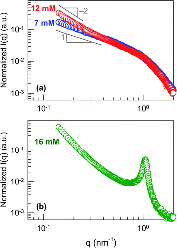 SAXS data at 25 °C from mixtures of DMPC and Gd3+ in cyclohexane. Each of the samples contains 18.5 mM DMPC while the Gd3+ concentrations were: (a) 7 mM, 12 mM and (b) 16 mM.