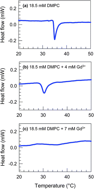 DSC scans for samples of 18.5 mM DMPC + (a) 0 mM, (b) 4 mM and (c) 7 mM Gd3+ in cyclohexane. Upon addition of Gd3+, the lipid melting peak shifts from 35.0 °C in (a) to 30.4 °C in (b) and the peak is absent in (c).