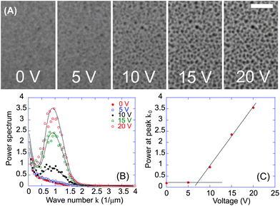 (A) Micrograph sequence of a 0.7 wt% CNT–PySi70 suspension on increasing AC field strength E, showing the formation of a microscopic structure. The field is perpendicular to the image plane and applied across an electro-optical imaging chamber of height h = 20 μm (20 V corresponds to E = 1 kV mm−1). Scale bar = h. (B) Computed structure factors S(k) show peaks at k0 ∼ 0.88 μm−1, corresponding to a column separation length scale L (2π/k0) of 7.1 μm. (C) S(k) values at peak, k = k0, suggesting that column formation begins to affect transparency at ≈7 V.