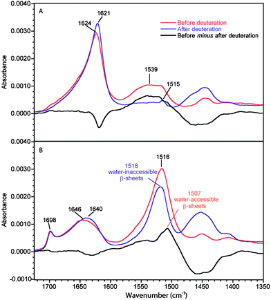 ATR infrared spectra of B. mori silk before and after deuteration. (A) 90°-spectra. (B) 0°-spectra. Real absorbance for the 0°-spectrum before deuteration while the other spectra are normalized following the procedure described in the Experimental section. The black trace represents the difference between the spectra of the non-deuterated fiber and the deuterated one.