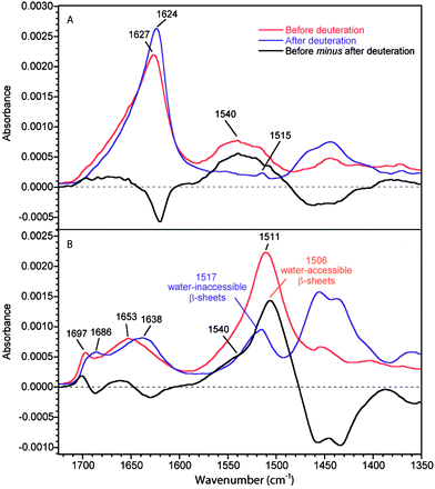 ATR infrared spectra of MA silk before and after deuteration. (A) 0°-spectra. (B) 90°-spectra. Real absorbance for the 0°-spectrum before deuteration while the other spectra are normalized following the procedure described in the Experimental section. The black trace represents the difference between the spectra of the non-deuterated fiber and the deuterated one.