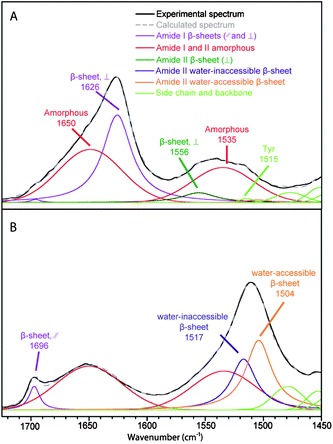 Spectral decomposition of the ATR infrared spectra of MA silk. (A) Fiber perpendicular to the fiber axis. (B) Fiber parallel to the fiber axis.