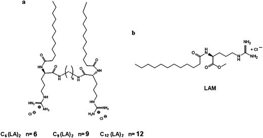 Molecular structure of (a) Cn(LA)2 and (b) LAM.