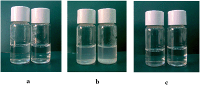 Pictures of C6 formulations at different concentrations: (a) C6 1and C6 2, (b) C6/CHOL 1 and C6/CHOL 2, (c) C6/DLPC 1 and C6/DLPC 2.