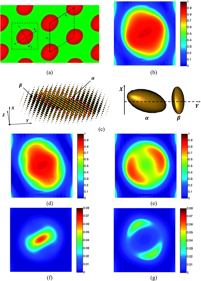 (a) Representative hexagonal packed rod pucks in a coil matrix at coil volume fraction fA = 0.7 for χN = 14, μN = 56 and β = 4, where red and green colors represent semiflexible blocks and coil blocks, respectively. The linear dimensions of the unit cell are replicated two times in each direction for clear presentation. Dashed line A shows the nematic direction at point α and line B is perpendicular to line A. (b) Orientation degree of the semiflexible blocks, . (c) Visualization of tensor field S(r) by plotting the Gaussian ellipsoids.55 The orientation of the ellipsoid is determined by the eigenvectors of the two-order tensor and the magnitude of the three axes of each ellipsoid is controlled by the eigenvalues. (d) Orientation degree of the semiflexible blocks, P̄2,vmax(rα)(r), which counted along major eigenvector at point α; (e) P̄2,vmax(rβ)(r) counted along major eigenvector at point β. (f) Segment density distributions at the semiflexible terminal φ(r,s = 1) and (g) at the coil–semiflexible junction φ(r,s = fA). The area shown in (b–f) corresponds to that inside the red dashed square in (a).