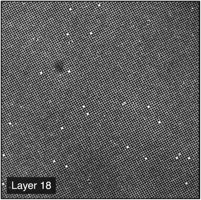 Horizontal confocal image of Layer 18 of a perfect FCC colloidal crystal grown by centrifugation onto a (100) template at 3000g with initial volume fraction ϕ0 = 0.29%. The image has lateral dimensions of 155.0 μm.