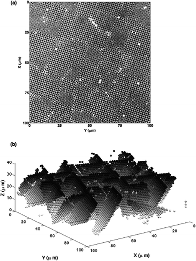 (a) Confocal image of a horizontal section through a colloidal FCC crystal grown to a total thickness of 42.9 μm on a (100) template. Because the crystal thickness exceeds the critical thickness, it acquired a significant concentration of stacking faults. (b) Three-dimensional reconstruction of stacking faults in the same crystal, with particles shaded according to their depth in the crystal. Stacking faults are identified as pairs of planes with local HCP coordination.