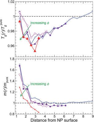 The glass transition temperature Tg and fragility m for non-attractive NP surface interaction as a function of distance from the NP surface. The color gradient goes from blue at the lowest NP concentration to red at the highest NP concentration.