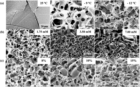 Selected SEM images of PSA gel cross-sections synthesized at various (a) preparation temperatures, (b) APS concentrations (at constant TEMED to APS ratio), and (c) initial monomer concentrations. Unless otherwise stated, the above PSA cryogels were synthesized at −20 °C for an 8% monomer concentration; the APS and TEMED concentrations used were 1.75 mM and 0.125%, respectively. The crosslinker ratio used for cryogels shown in (a) was 0.15 mol MBA/mol SA while those in rows (b) and (c) employed a crosslinker ratio of 0.05 mol MBA/mol SA.