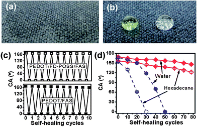 Water and hexadecane drops on a PEDOT/FD-POSS/FAS treated polyester fabric: (a) after plasma treatment and (b) after plasma and heat treatment, (c) water contact angle of the coated fabric in the first 10 cycles of plasma and heat treatment, and (d) change of water and hexadecane contact angles with plasma- and-heat treatment cycles for PEDOT/FD-POSS/FAS and PEDOT/FAS coated fabrics.