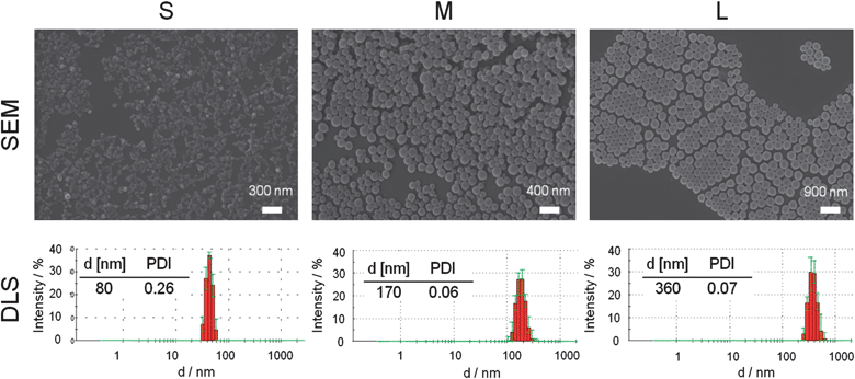 Representative SEM images and DLS intensity size distribution with corresponding Z average value and polydispersity PDIP of the small, medium and large particles of the p(MMA-stat-MAdye) copolymer.