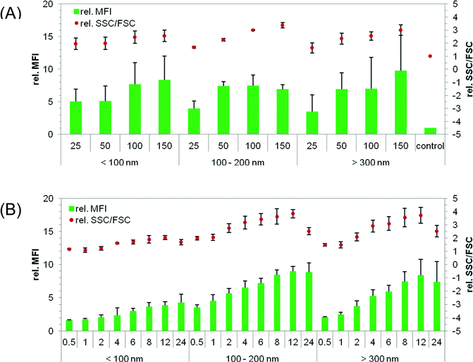 Cellular uptake of NPs into HeLa cells measured by flow cytometry: the cells were seeded at a concentration of 105 cells per mL 24 h before particle incubation with NPs. The uptake of NPs was investigated in serum-reduced media and measured by two methods: the relative change of fluorescence (MFI) and granularity (SSC/FSC) compared to non-treated cells. (A) Different concentrations of differently sized particles were analyzed after 24 h of incubation. (B) Time-dependent uptake of 50 μg NPs per mL. Data represent mean ± SD, n ≥ 3.