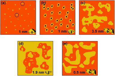 Schematic showing the self assembly modes of GP160 on mica and within DOPC bilayers. On mica at low concentration individual molecules of GP160 and molecular trimers, ∼1 nm in height are observed (a). Higher concentrations of GP160 self assemble into two alternate structures. Monolayer protein coverage may be punctuated by 1 nm ‘pores’ (b) or multilayer protein assemblies (c) which are observed as uniform terraces ∼3.5 nm in height. When reconstituted into DOPC bilayers either embedded self assembled structures, characteristic of spinodal decomposition and ∼0.5 nm in height (e) or partially embedded multilayer protein assemblies, punctuated by ∼1.9 nm deep holes in which monolayer protein coverage and the intermediate stages of self assembly can be observed.