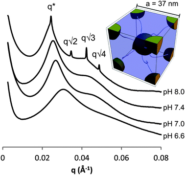 SAXS measurements of 10 wt% gels/solutions of PHGE-b-PEO-b-PHGE at different pH with inset of BCC unit cell.