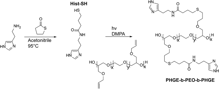 Synthetic route to Hist-SH and PHGE-b-PEO-b-PHGE.