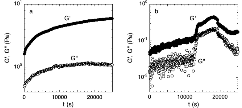 (a) Accepted and (b) rejected attachment phase. Measured over 7 hours at 300 μm and a strain of 0.016 directly after the initial growth period. The moduli in the accepted experiment have reached equilibrium while the rejected experiment has not. Examples of one experiment of each case are shown.