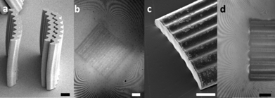 (a) SEM image (JEOL 7500F HRSEM) of the microparticles. (b) Interference fringes around such a microparticle in isolation at the air–water interface clearly show the four-lobed quadrupolar deformation of the interface. (c) SEM and (d) microinterferometry of the interface undulations near the ends of a microparticle. The scale bars correspond to 50 μm.