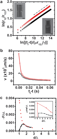 (a) Normalized separation distance against normalized time to contact for a pair of matching microparticles with λ = 36 μm (red triangles; see top inset) and a pair of microparticles with differing wavelengths λ = 36 μm and 60 μm (black triangles; see bottom inset). The scale bars in the insets correspond to 100 μm. (b) Relative velocity corresponding to the pairs of matching particles (red circles) and differing particles (black circles) in (a). (c) The capillary force F computed between matching microparticles (red squares) and differing particles (black squares), with Hp comparable to that of the microparticles in experiment. Inset: the drag force between the microparticles in experiment, with the unknown coefficient taken to be one.