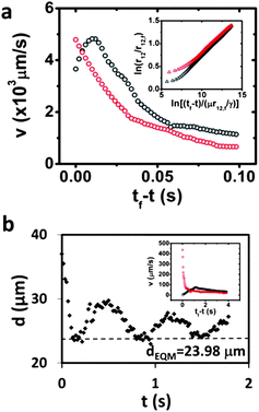 (a) Relative velocity for microparticles of the same wavelength (λ = 36 μm; red-colored symbols in both the main figure and inset) and differing wavelengths (λ = 36 μm and 60 μm; black-colored symbols) on unbounded oil–water interface. Inset reports the corresponding center-to-center separation between the microparticles and time to contact in logarithmic scale. (b) Separation distance between the corrugated ends of two microparticles with differing wavelengths (λ = 36 μm and 60 μm) on oil–water interface confined in channels against time, when the pair was subject to forced perturbations along the channel. The inset reports the relative velocity of the differing microparticles against time to contact on bounded oil–water interface.