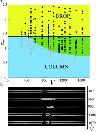 (a) Morphology diagram in the parameter space (d̃,Ṽ): drops (●, dark gray) and columns (+, light gray). The darker overlap region corresponds to the region where both drops and columns coexist. The horizontal line corresponds to . (b) Concomitantly, the same drop to column transition exists when d is fixed and liquid is progressively added to the drop: top view of nylon fibers of radius 2r = 0.35 mm at the fixed distance d̃ = 1.06. 2 μL is added between each photograph to a 1 μL drop.