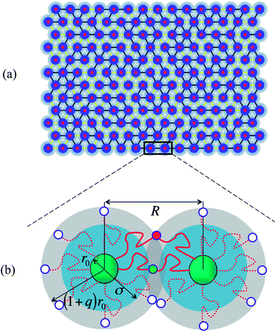 Network of cross-linked polymer grafted nanoparticles (PGNs) (a) graphical output from the simulation showing the initial configuration of the system for a corona height of q = 0.75. The core (dark blue region) is surrounded by a corona of grafted chains (blue and grey region). The reactive end groups on chains in the corona of neighboring PGNs form labile or permanent bonds, leading to the creation of the dual cross-linked network (b) schematic showing formation of bonds within the corona overlap region; the bonded chains are drawn in a solid red line and the red and green filled circles indicate the respective labile and permanent bonds.