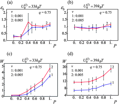 Effect of fraction of permanent bonds, P, and pulling velocity, v, on strain at break, εb, and toughness, W (blue and red lines denote pulling velocities v = 0.001 and 0.005, respectively). (a) Strain at break, εb, as a function of fraction of permanent bonds, P, for U(l)0/kBT = 33. (b) Strain at break, εb, as a function of fraction of permanent bonds, P, for U(l)0/kBT = 39. (c) Toughness, W, as a function of fraction of permanent bonds, P, for U(l)0/kBT = 33. (d) Toughness, W, as a function of fraction of permanent bonds, P, for U(l)0/kBT = 39.