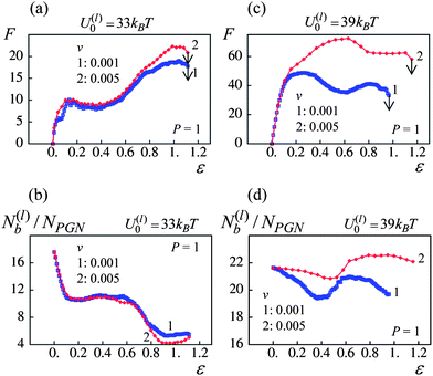 Effect of pulling velocity, v, at P = 1 on network response (blue and red lines denote pulling velocities v = 0.001 and 0.005 respectively): (a) force(F)–strain(ε) curves for U(l)0/kBT = 33. (b) Number of labile bonds/particle, N(l)b/NPGN, as a function of strain, ε, for U(l)0/kBT = 33. (c) Force(F)–strain(ε) curves for U(l)0/kBT = 39. (d) Number of labile bonds/particle, N(l)b/NPGN, as a function of strain, ε, for U(l)0/kBT = 39.