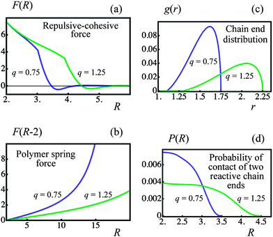 Effect of corona thickness, q, on pair interactions (blue and green lines denote q = 0.75 and 1.25 particles, respectively). (a) Repulsive–cohesive forces, F, between particles as a function of the separation distance, R. (b) Force exerted by a single bonded polymer chain, F, as a function of the separation distance, R. (c) Distribution of free ends in an isolated particle corona, g, as a function of distance from center of the particle, r. (d) Bond formation probability, P, in the corona overlap volume as a function of separation distance, R.