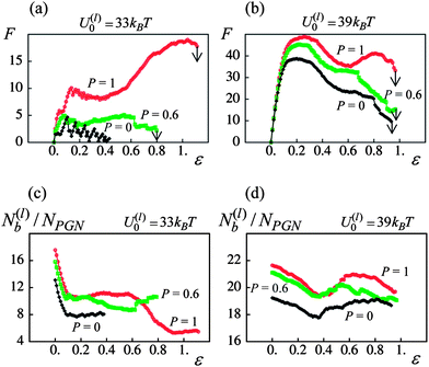 Effect of fraction of permanent bonds, P, on mechanical response of network. (a) Force(F)–strain(ε) curves at P = 0, 0.6 and 1 (black, green and red curves, respectively) for U(l)0/kBT = 33. (b) Force(F)–strain(ε) curves at P = 0, 0.6 and 1 for U(l)0/kBT = 39. (c) Number of labile bonds/particle, N(l)b/NPGN, as a function of strain, ε, at P = 0, 0.6 and 1 for U(l)0/kBT = 33. (d) Number of labile bonds/particle, N(l)b/NPGN, as a function of strain, ε, at P = 0, 0.6 and 1 for U(l)0/kBT = 39.