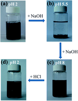 pH responsiveness of MWCNT–star nanohybrids in aqueous media.